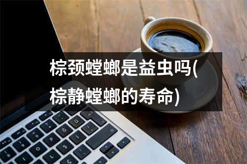 棕颈螳螂是益虫吗(棕静螳螂的寿命)