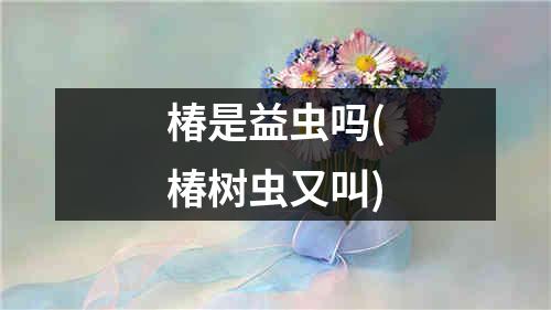 椿是益虫吗(椿树虫又叫)