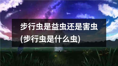 步行虫是益虫还是害虫(步行虫是什么虫)