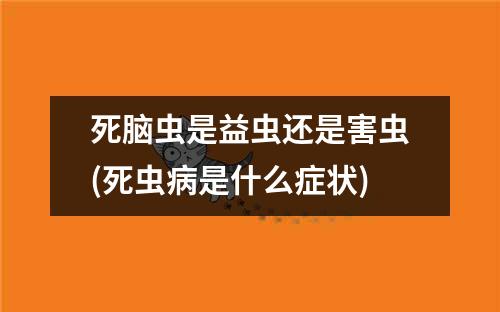 死脑虫是益虫还是害虫(死虫病是什么症状)