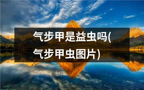 气步甲是益虫吗(气步甲虫图片)