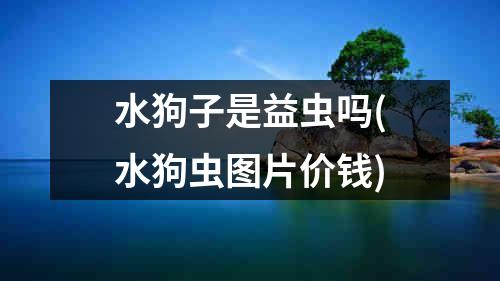 水狗子是益虫吗(水狗虫图片价钱)