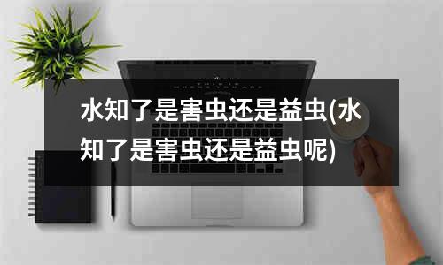 水知了是害虫还是益虫(水知了是害虫还是益虫呢)