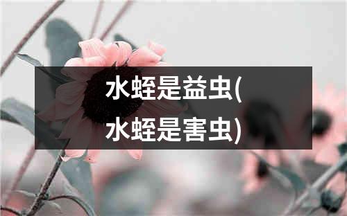 水蛭是益虫(水蛭是害虫)