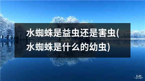 水蜘蛛是益虫还是害虫(水蜘蛛是什么的幼虫)