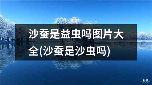 沙蚕是益虫吗图片大全(沙蚕是沙虫吗)