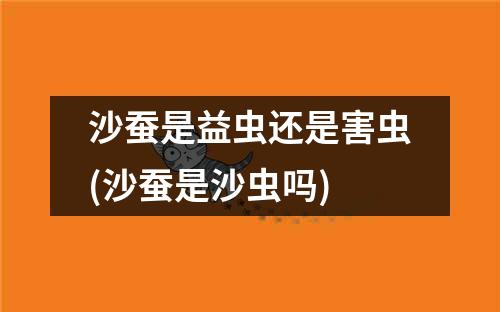 沙蚕是益虫还是害虫(沙蚕是沙虫吗)