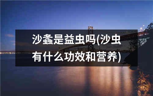 沙螽是益虫吗(沙虫有什么功效和营养)