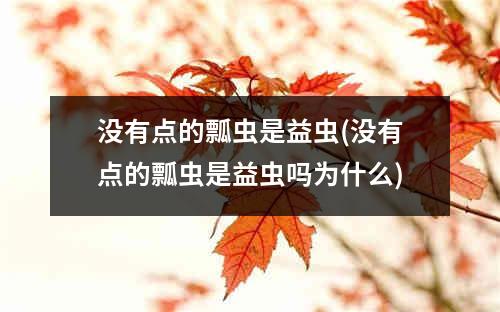 没有点的瓢虫是益虫(没有点的瓢虫是益虫吗为什么)