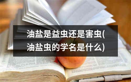 油盐是益虫还是害虫(油盐虫的学名是什么)