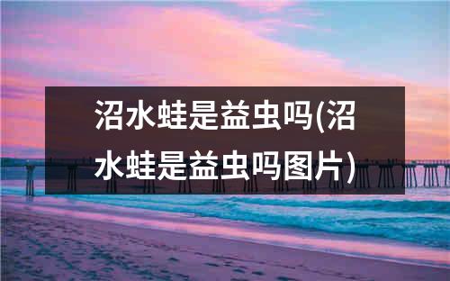 沼水蛙是益虫吗(沼水蛙是益虫吗图片)