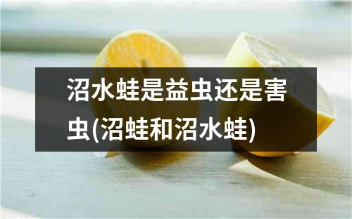 沼水蛙是益虫还是害虫(沼蛙和沼水蛙)