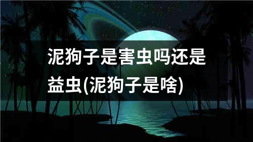 泥狗子是害虫吗还是益虫(泥狗子是啥)