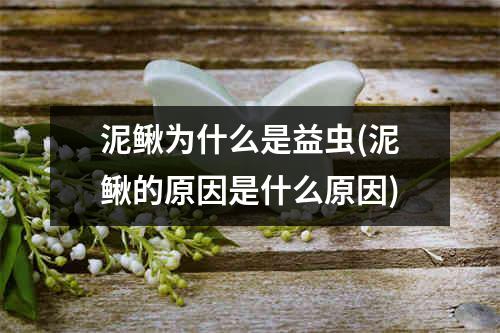 泥鳅为什么是益虫(泥鳅的原因是什么原因)