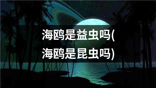 海鸥是益虫吗(海鸥是昆虫吗)