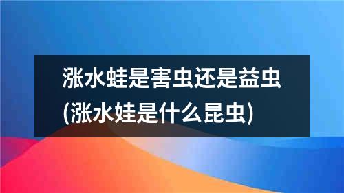 涨水蛙是害虫还是益虫(涨水娃是什么昆虫)