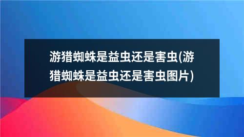 游猎蜘蛛是益虫还是害虫(游猎蜘蛛是益虫还是害虫图片)