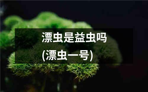 漂虫是益虫吗(漂虫一号)