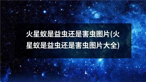 火星蚁是益虫还是害虫图片(火星蚁是益虫还是害虫图片大全)