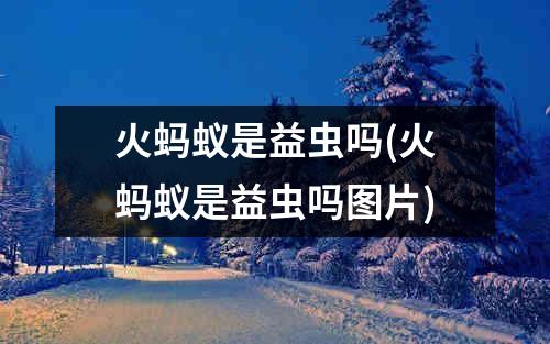 火蚂蚁是益虫吗(火蚂蚁是益虫吗图片)