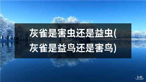 灰雀是害虫还是益虫(灰雀是益鸟还是害鸟)