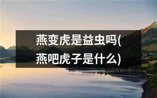 燕变虎是益虫吗(燕吧虎子是什么)