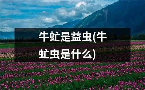 牛虻是益虫(牛虻虫是什么)