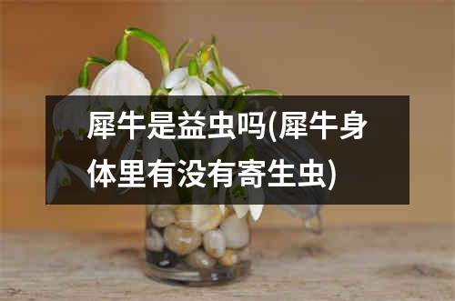 犀牛是益虫吗(犀牛身体里有没有寄生虫)