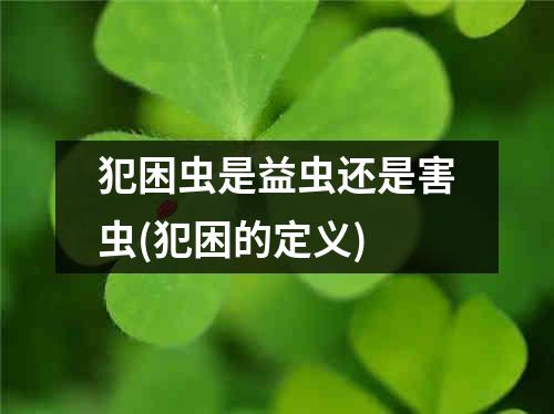 犯困虫是益虫还是害虫(犯困的定义)