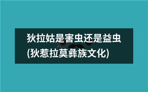 狄拉姑是害虫还是益虫(狄惹拉莫彝族文化)