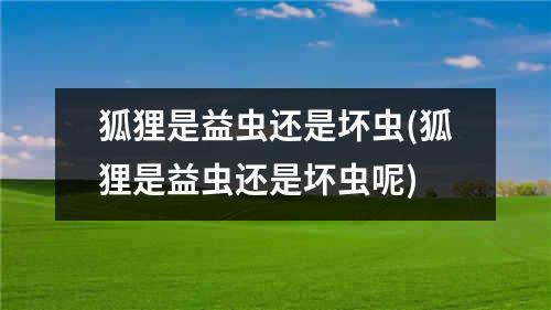 狐狸是益虫还是坏虫(狐狸是益虫还是坏虫呢)