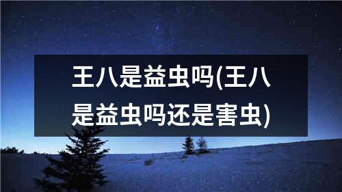 王八是益虫吗(王八是益虫吗还是害虫)