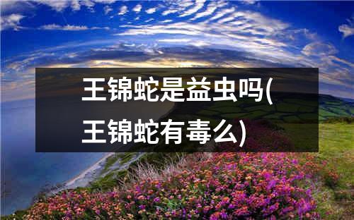 王锦蛇是益虫吗(王锦蛇有毒么)