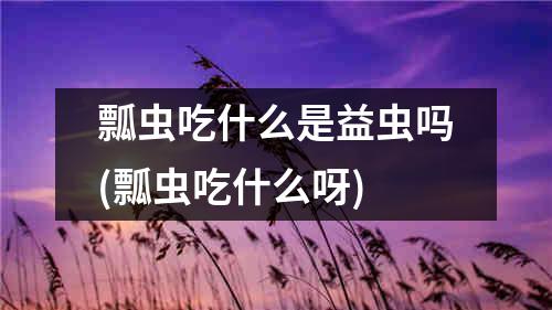 瓢虫吃什么是益虫吗(瓢虫吃什么呀)