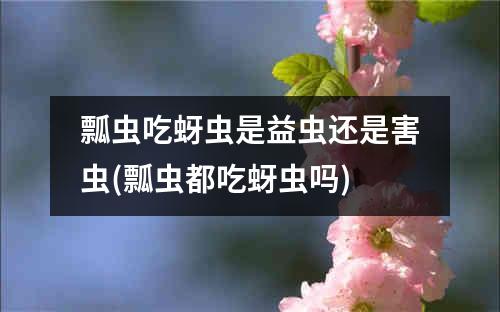 瓢虫吃蚜虫是益虫还是害虫(瓢虫都吃蚜虫吗)