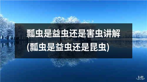 瓢虫是益虫还是害虫讲解(瓢虫是益虫还是昆虫)