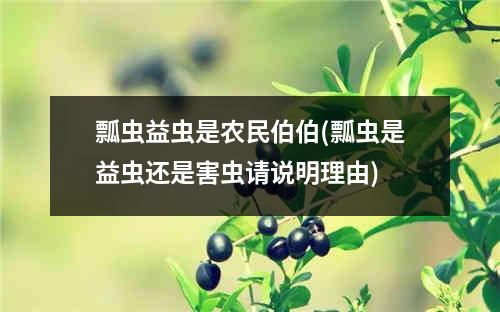 瓢虫益虫是农民伯伯(瓢虫是益虫还是害虫请说明理由)