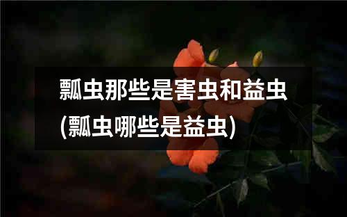 瓢虫那些是害虫和益虫(瓢虫哪些是益虫)