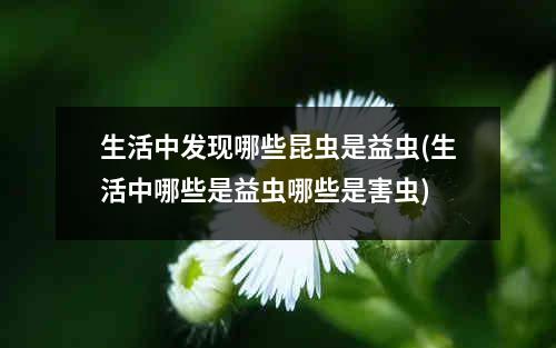 生活中发现哪些昆虫是益虫(生活中哪些是益虫哪些是害虫)