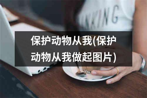 保护动物从我(保护动物从我做起图片)