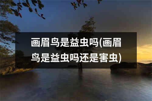 画眉鸟是益虫吗(画眉鸟是益虫吗还是害虫)