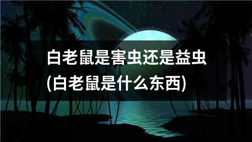 白老鼠是害虫还是益虫(白老鼠是什么东西)