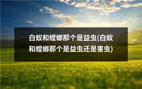 白蚁和螳螂那个是益虫(白蚁和螳螂那个是益虫还是害虫)