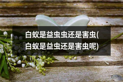 白蚁是益虫虫还是害虫(白蚁是益虫还是害虫呢)