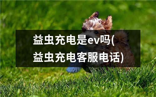 益虫充电是ev吗(益虫充电客服电话)