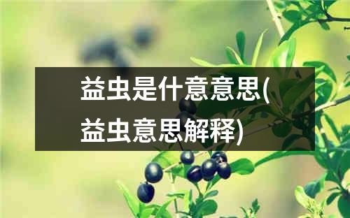 益虫是什意意思(益虫意思解释)