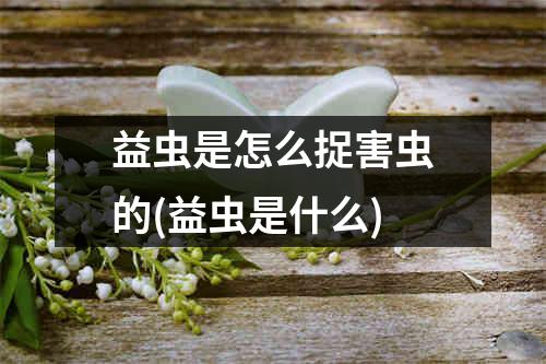 益虫是怎么捉害虫的(益虫是什么)