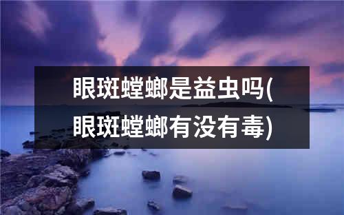 眼斑螳螂是益虫吗(眼斑螳螂有没有毒)