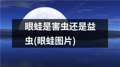 眼蛙是害虫还是益虫(眼蛙图片)