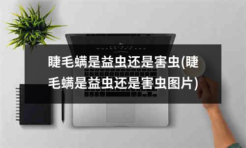 睫毛螨是益虫还是害虫(睫毛螨是益虫还是害虫图片)